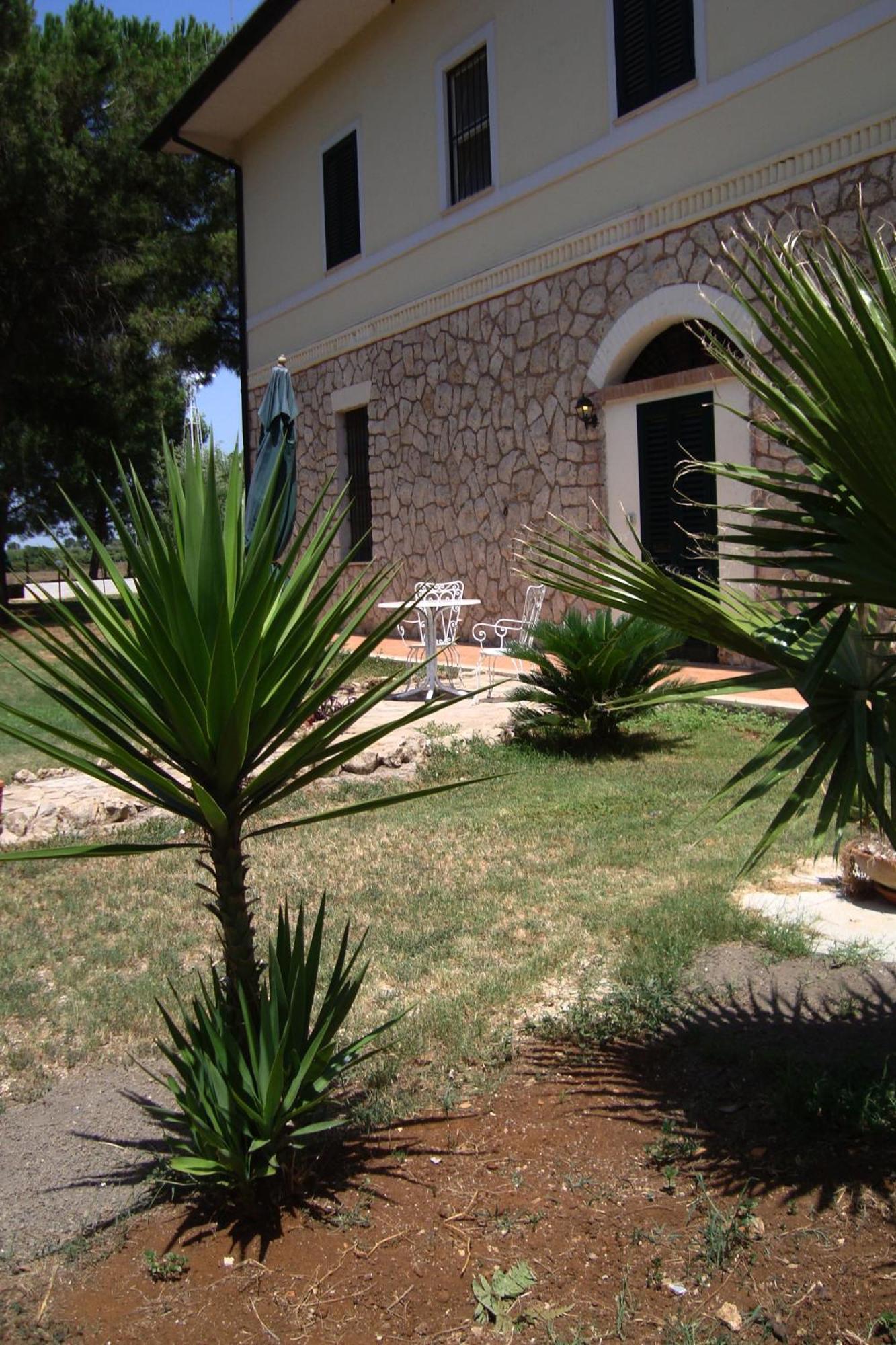 Agriturismo Ali E Radici Чистерна ди Латина Стая снимка